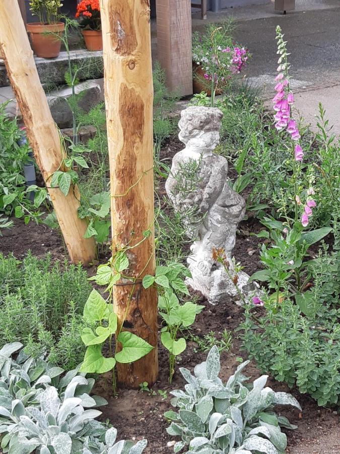 B&B Perron 22 Vierlingsbeek 外观 照片