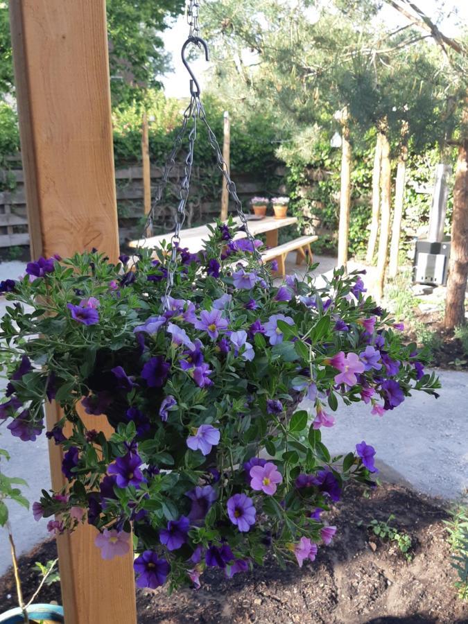 B&B Perron 22 Vierlingsbeek 外观 照片